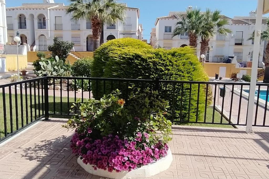 Villamartin Golf Lovers Home San Miguel De Salinas Eksteriør bilde